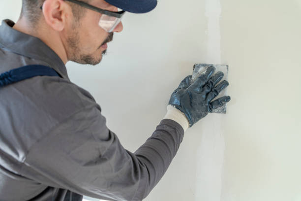 Best Dehumidification Services  in Wollochet, WA