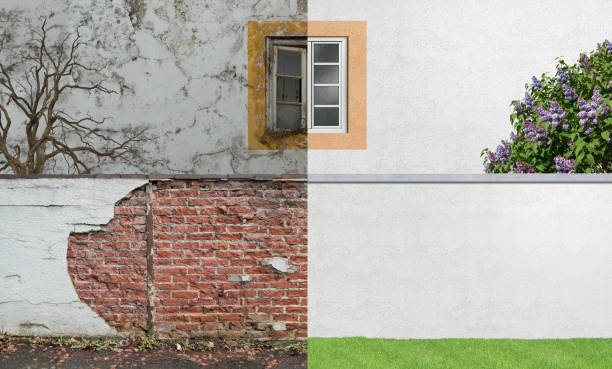 Best Mold Removal for HVAC Installations  in Wollochet, WA